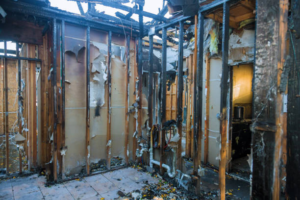 Professional Fire Damage Removal technician working in Cortez, FL