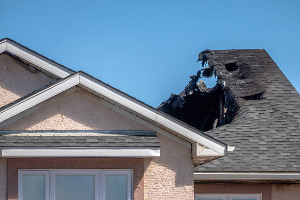 Top rated local Fire Damage Removal specialists in Cortez, FL
